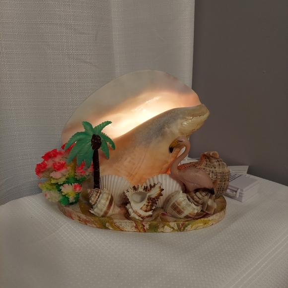Conch TV  Accent Light Sea Shells Coral Palm Flamingo Rewired Battery 1960 - Picture 12 of 13